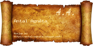 Antal Agnéta névjegykártya